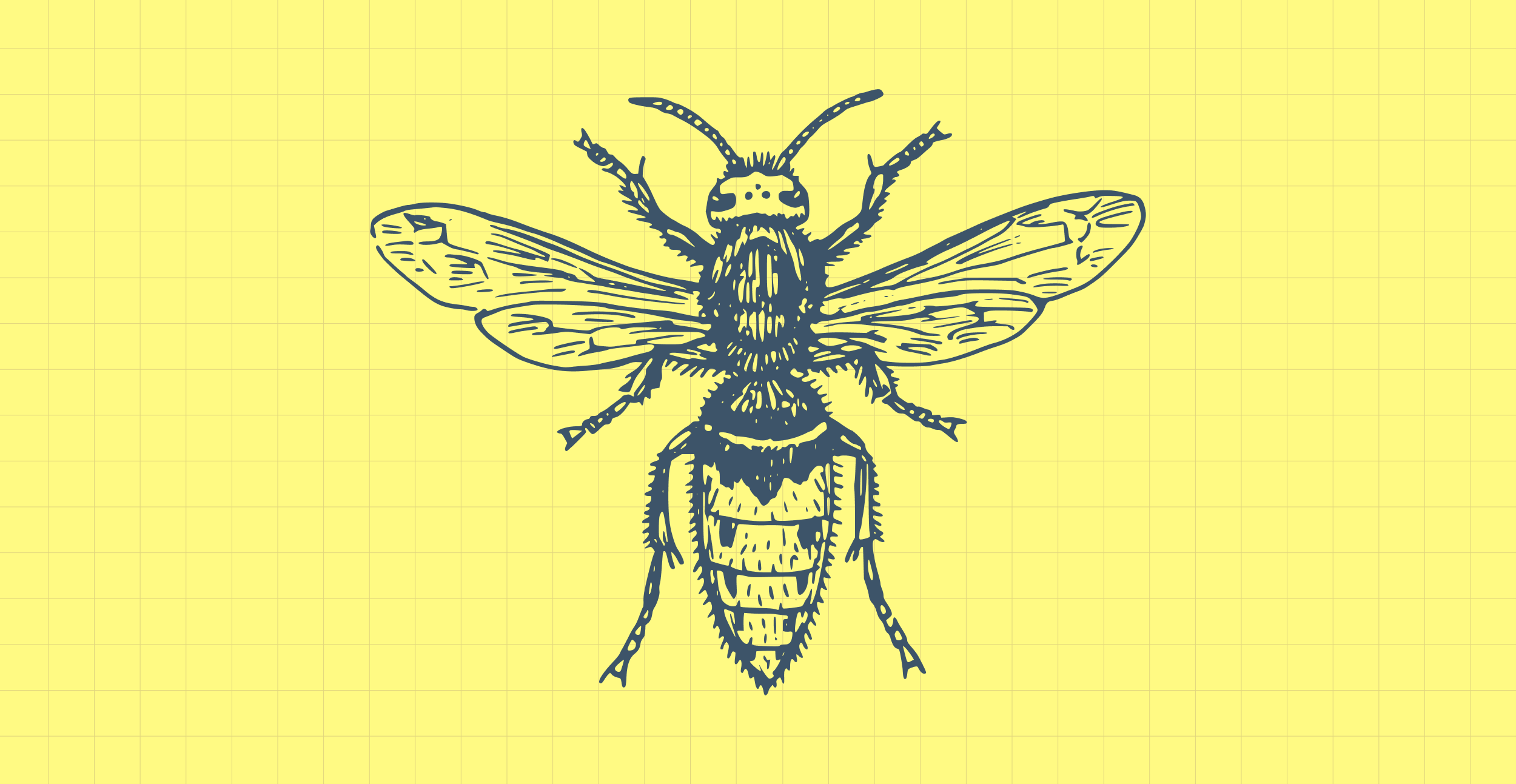 Specialisation is for insects – a product designer impacts the entire user experience